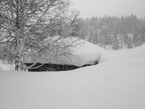 Natisnuti, kob pobôlšyti...