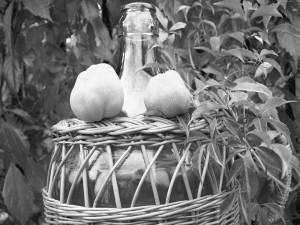 Natisnuti, kob pobôlšyti...