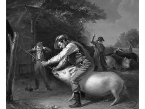 Click to enlarge...