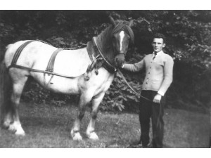 Natisnuti, kob pobôlšyti...